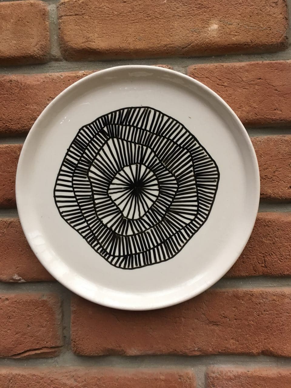 Hand-Painted Decorative Plates